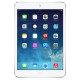 iPad mini ME824TY/A